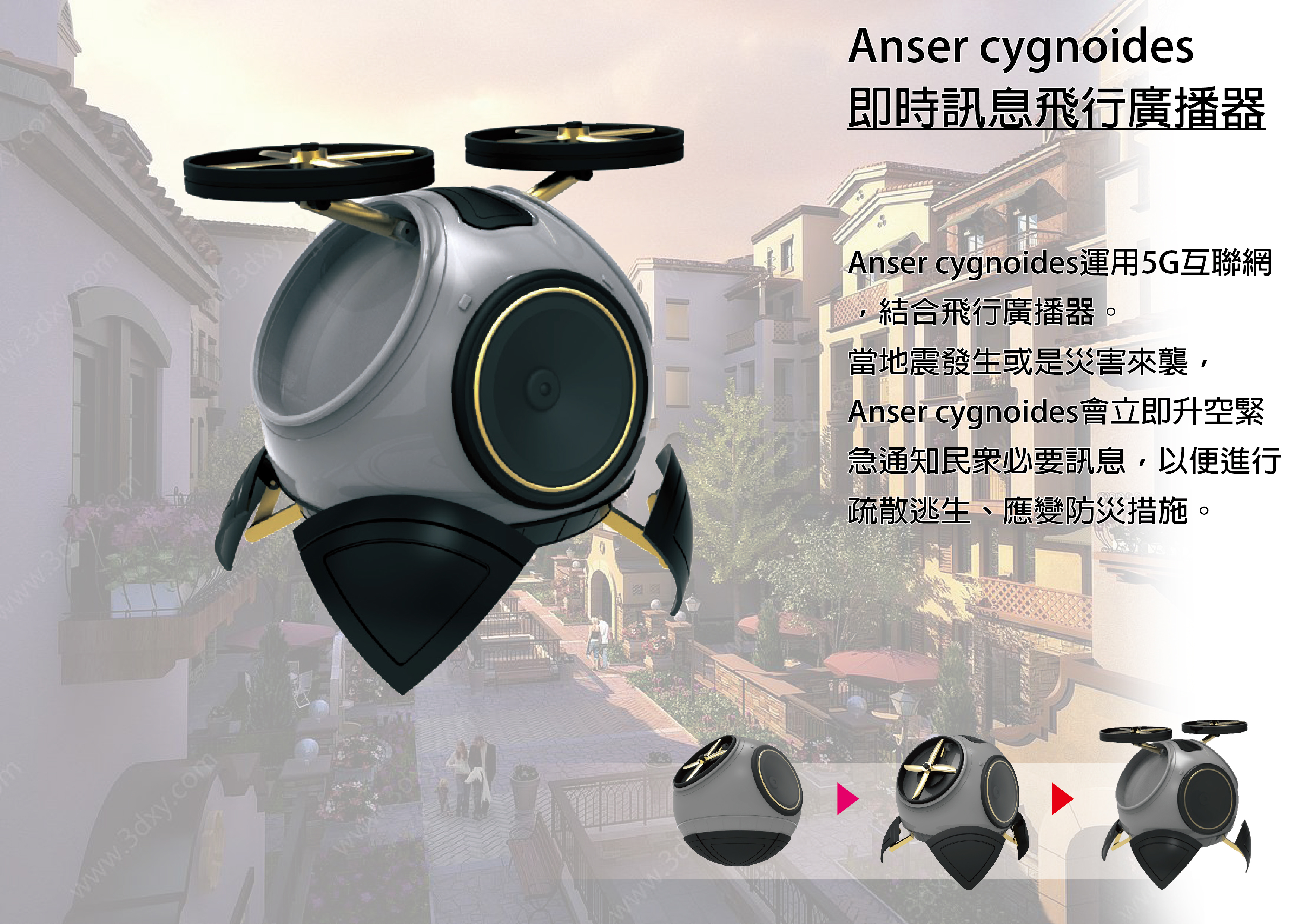 Anser cygnoides
